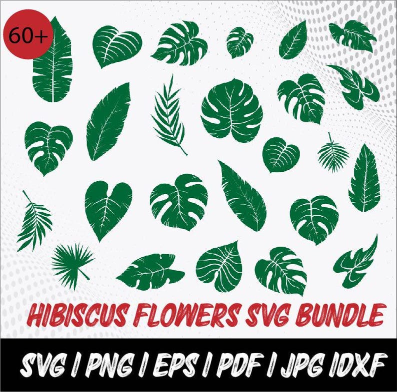 Hibiscus Flower SVG Bundle: Tropical Clipart, Monstera Leaf (digital ...
