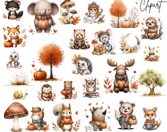 Autumn Woodland Animals Clipart – Fall Forest Graphics – 64 PNG Digital Download