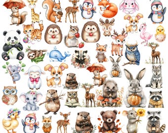 Imágenes prediseñadas de animales del bosque: Gráficos infantiles (Descarga digital - 45 PNG)