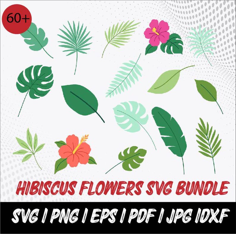 Hibiscus Flower SVG Bundle: Tropical Clipart, Monstera Leaf (digital ...