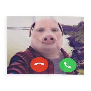 May include: A humorous image of a pig-faced person taking a selfie. The person is wearing a red and black plaid shirt. The background shows a body of water and green hills. A red and green phone call icon is in the foreground.