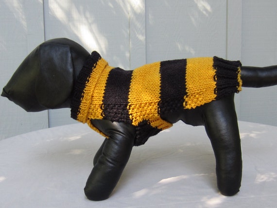Steeler dog sweater 2025