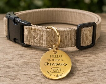 Hello My Name Is Custom Engraved Stainless Steel Dog ID Tag | Personalized Pet Tag | Name Address Tag for Dog Collar | Customizable Dog Tag