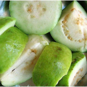 Thailändische weiße Guava-Fruchtsamen - Erbstück, Nicht-GVO-Tropiksamen für süße saftige Guavas