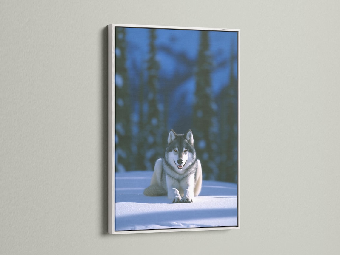 Grey wolf reclining on snow in a softly blurred winter forest detail view