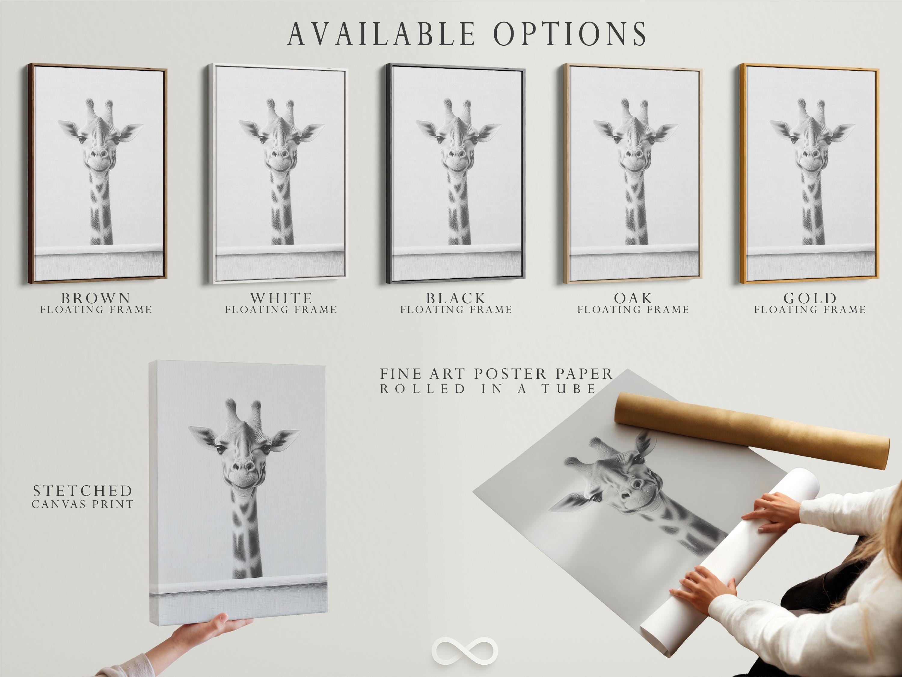 Black and white giraffe portrait illustration with soft sketch shading detail view