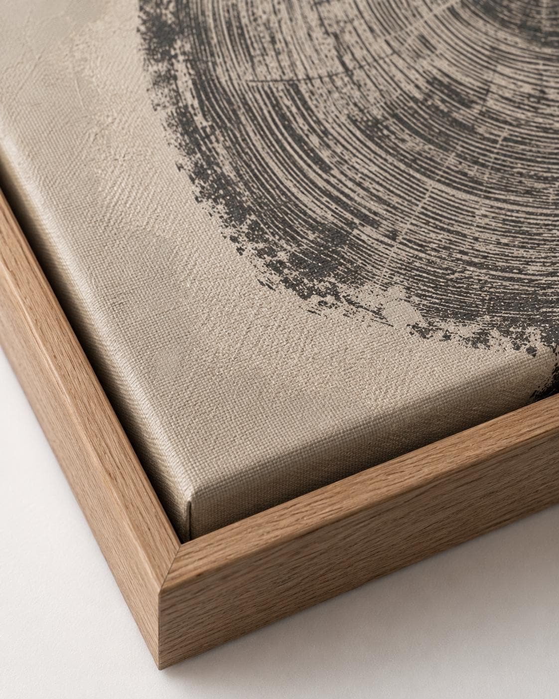Three-panel abstract tree-ring circles in grey linework on neutral backgrounds detail view
