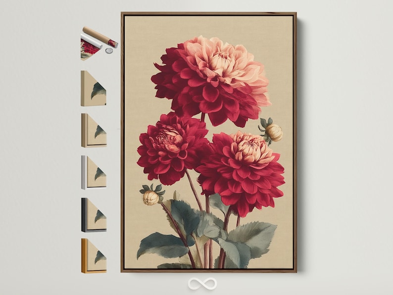 Vintage botanical illustration of burgundy and pale pink dahlias with dark green leaves on a cream background