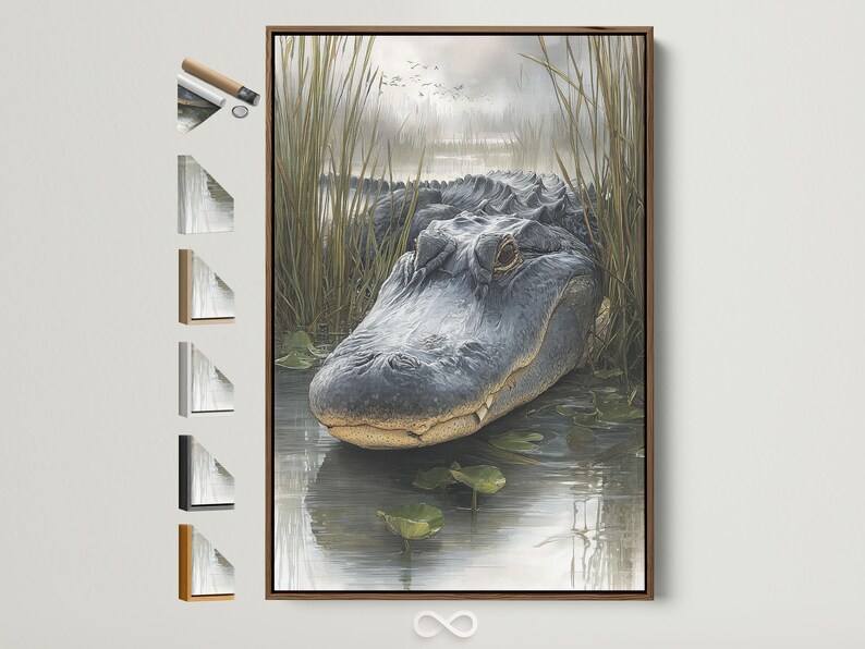 Grey alligator in a swamp scene with tall reeds, lily pads and water reflections