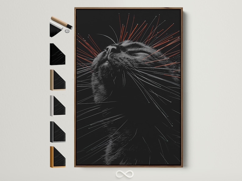 Stylised black cat portrait with radiating grey lines and orange streak accents