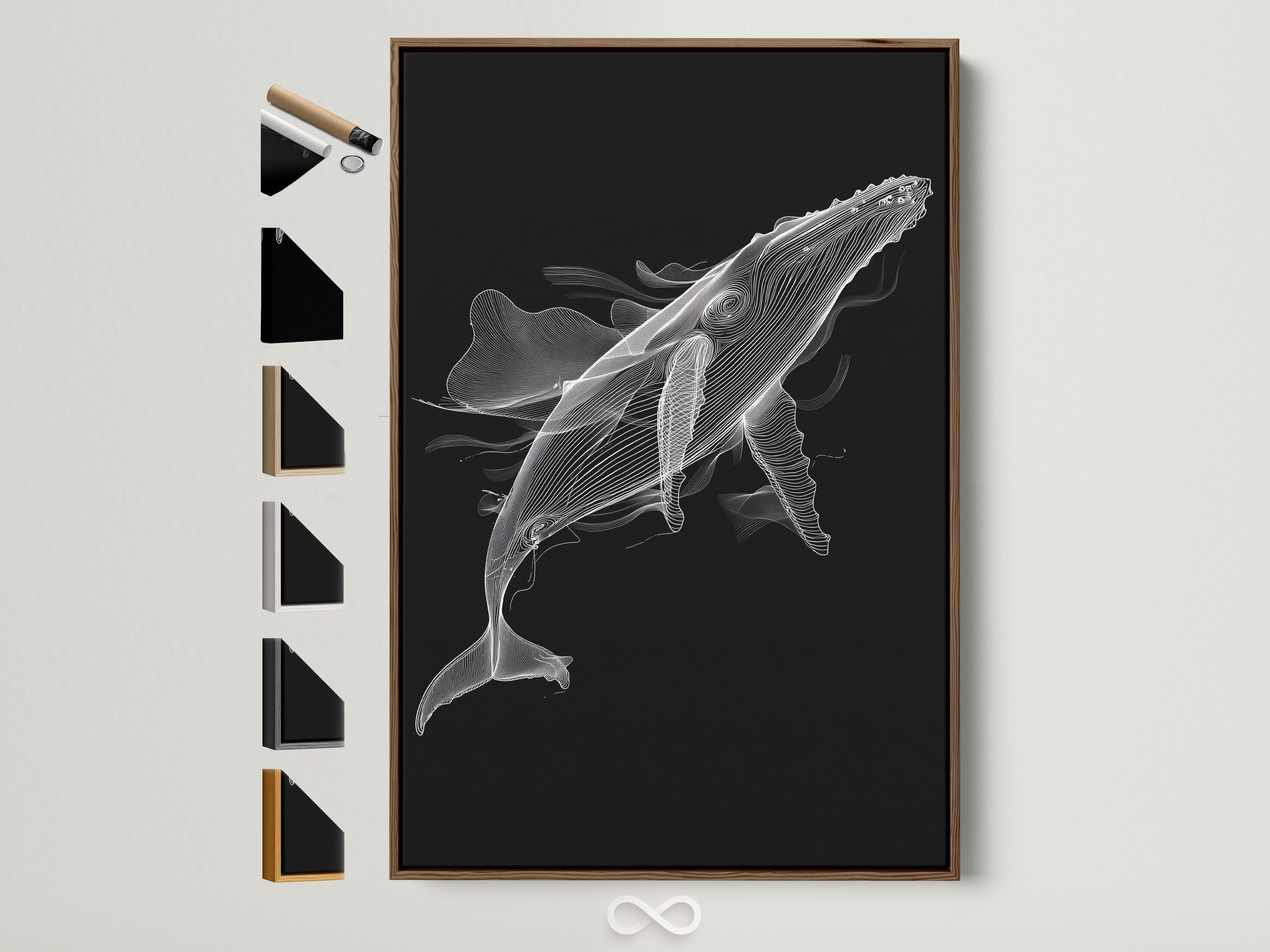 White line-art whale illustration on a dark black background