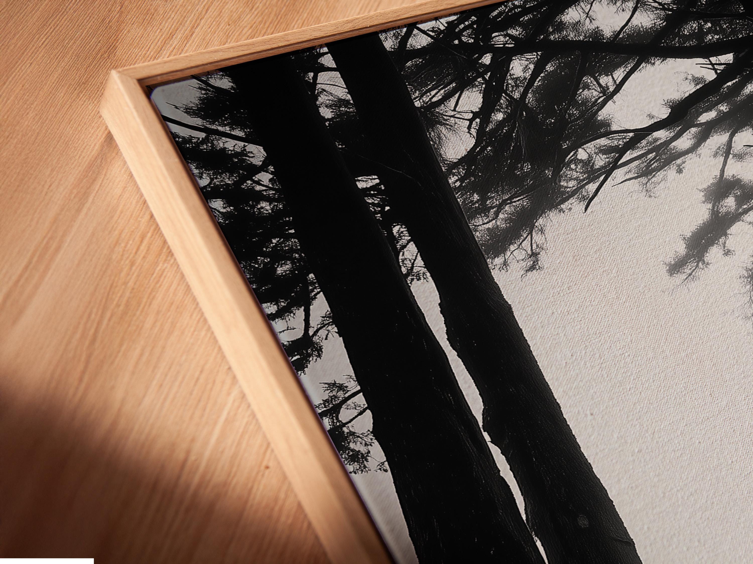 Monochrome seascape with dark tree trunks framing a foggy beach and a small lone figure detail view