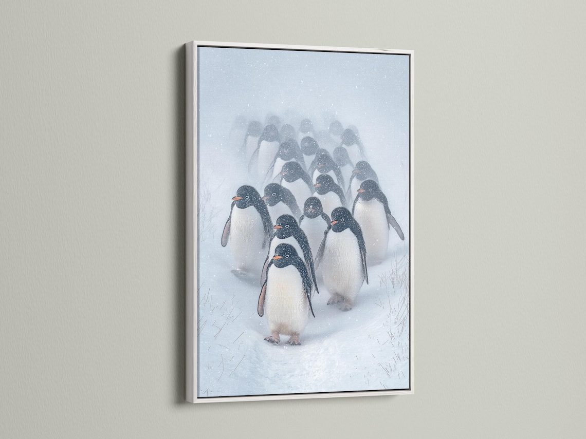 Snowy winter scene with a group of penguins in monochrome tones, with falling snow detail view