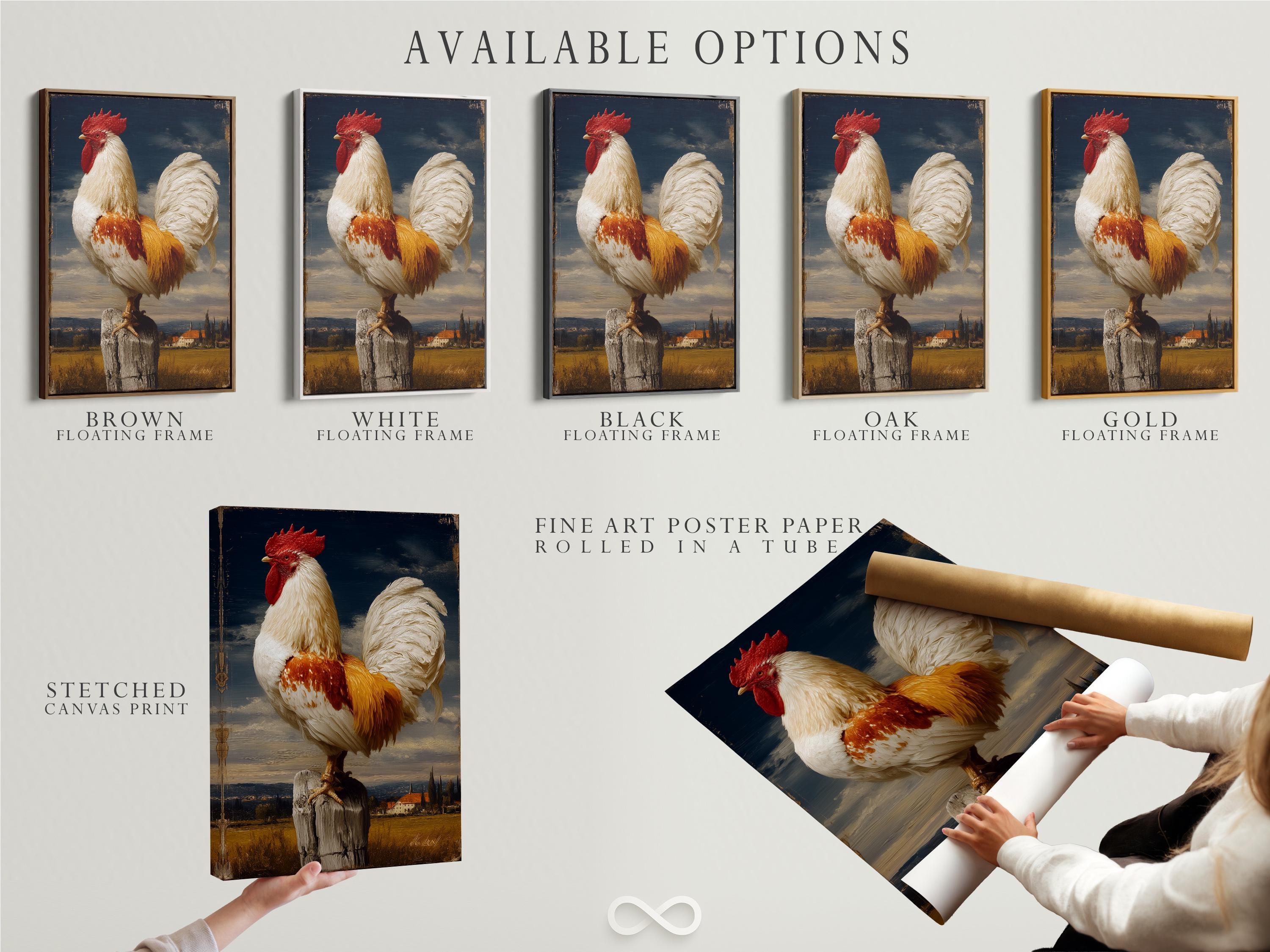 Vintage rooster portrait with red comb and pale feathers in a countryside landscape detail view