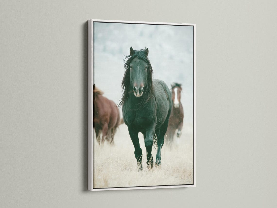 Muted green horse portrait with a pale misty background and a blurred second horse detail view