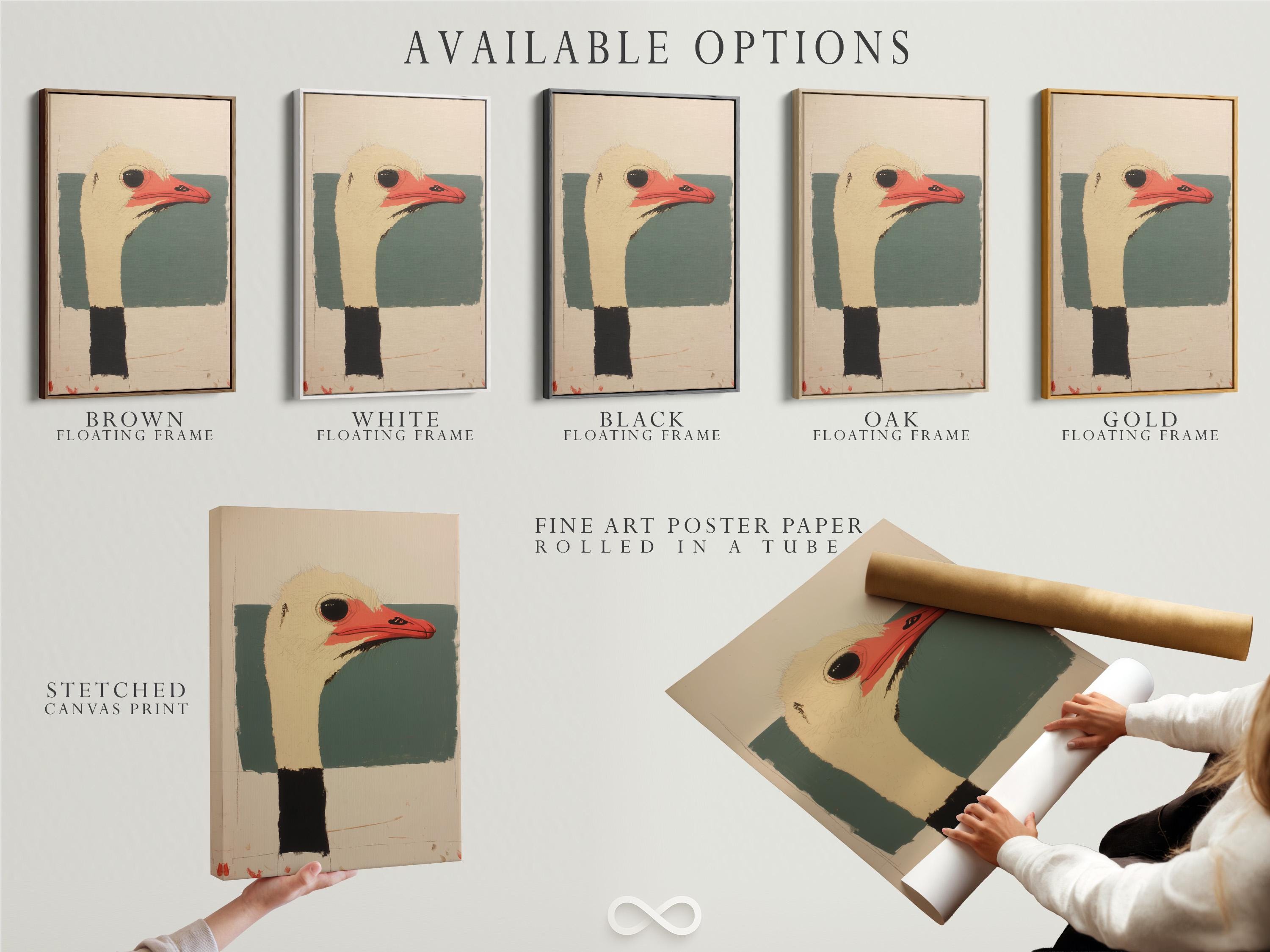 Stylised ostrich head portrait with red beak, dark eye, beige and teal shapes detail view