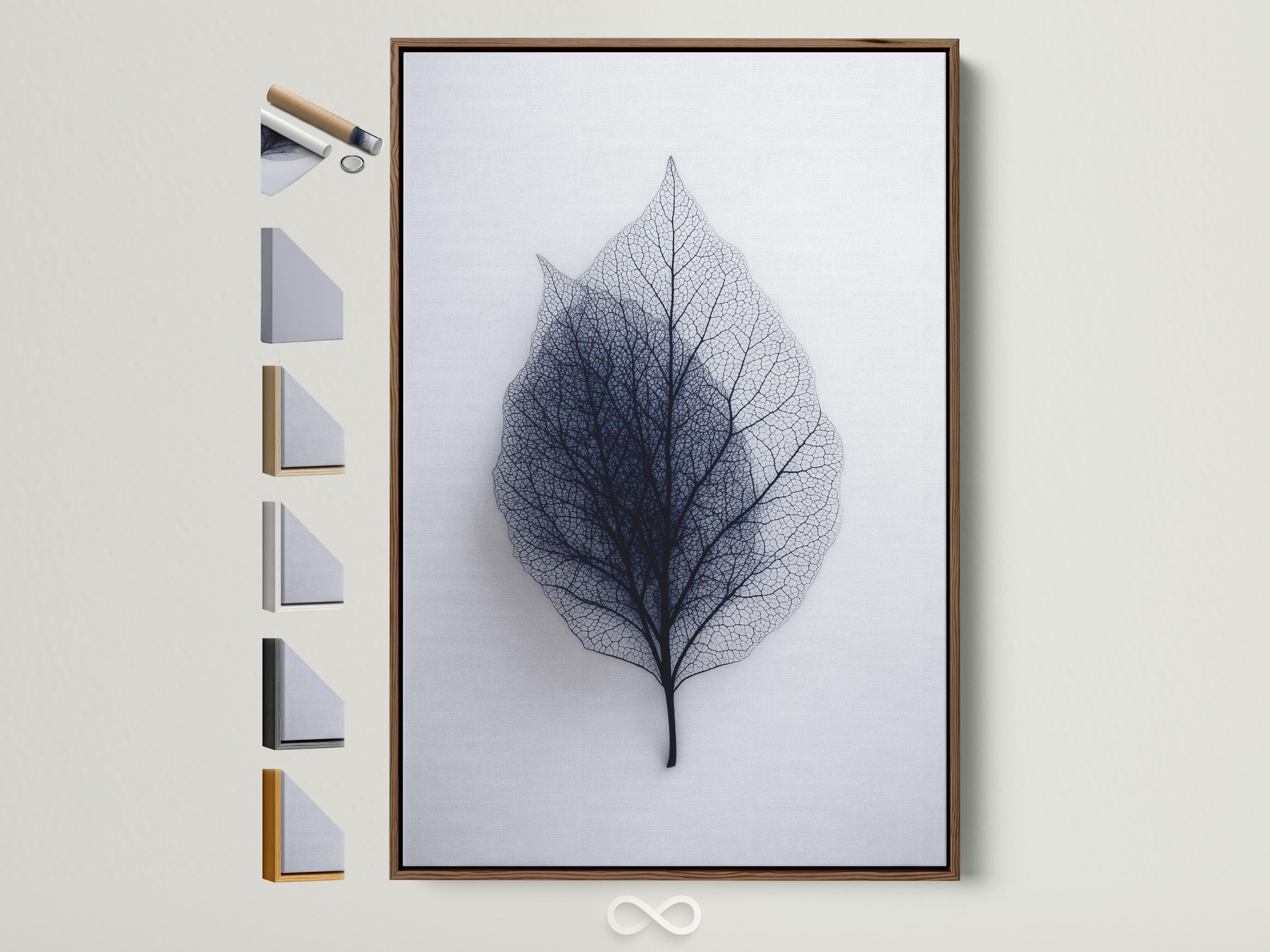 A person looking at a framed leaf skeleton wall artwork in a bright room