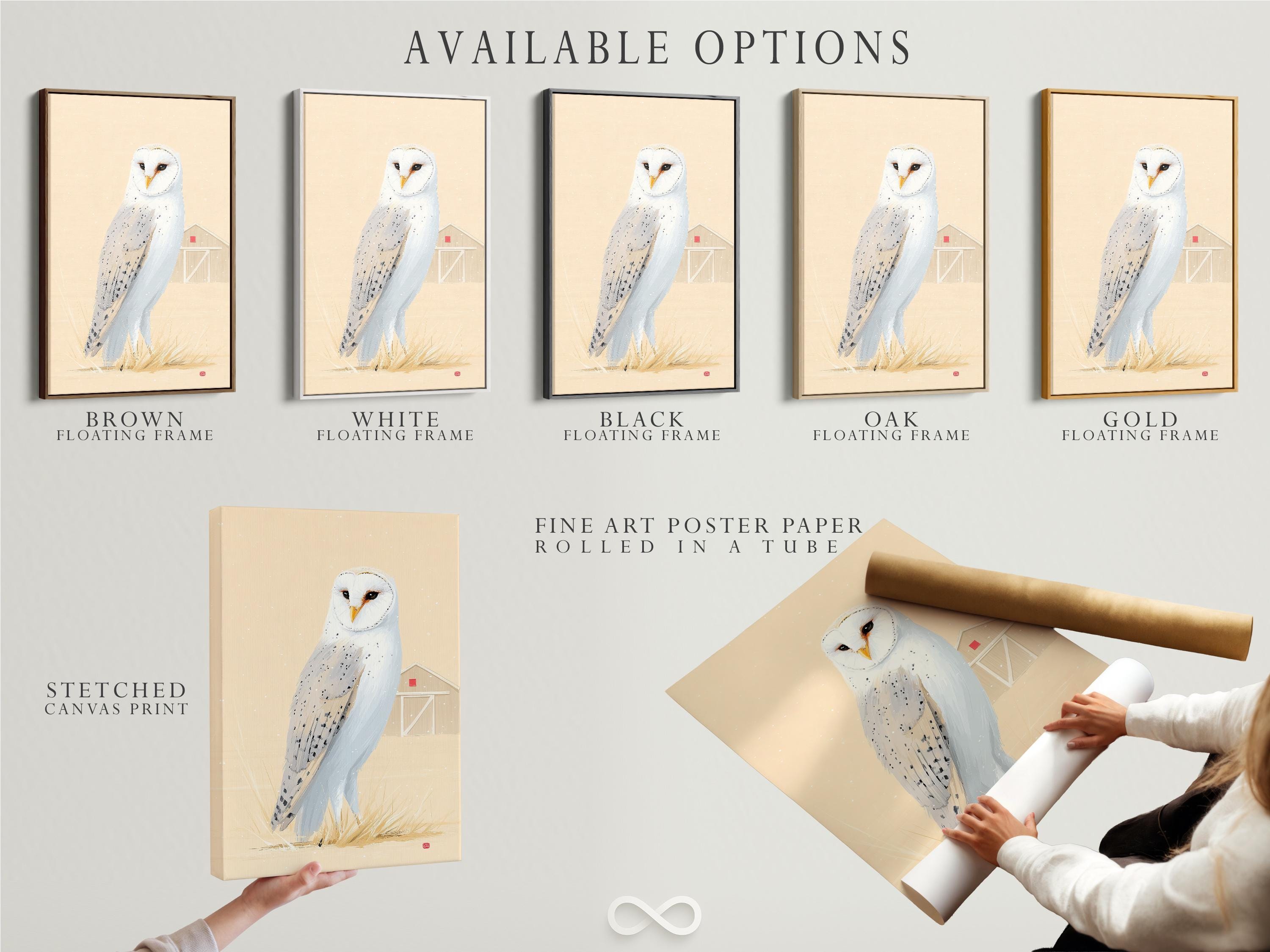 Painterly barn owl with white feathers and an orange beak on pale grass against warm beige background with snow-like specks detail view
