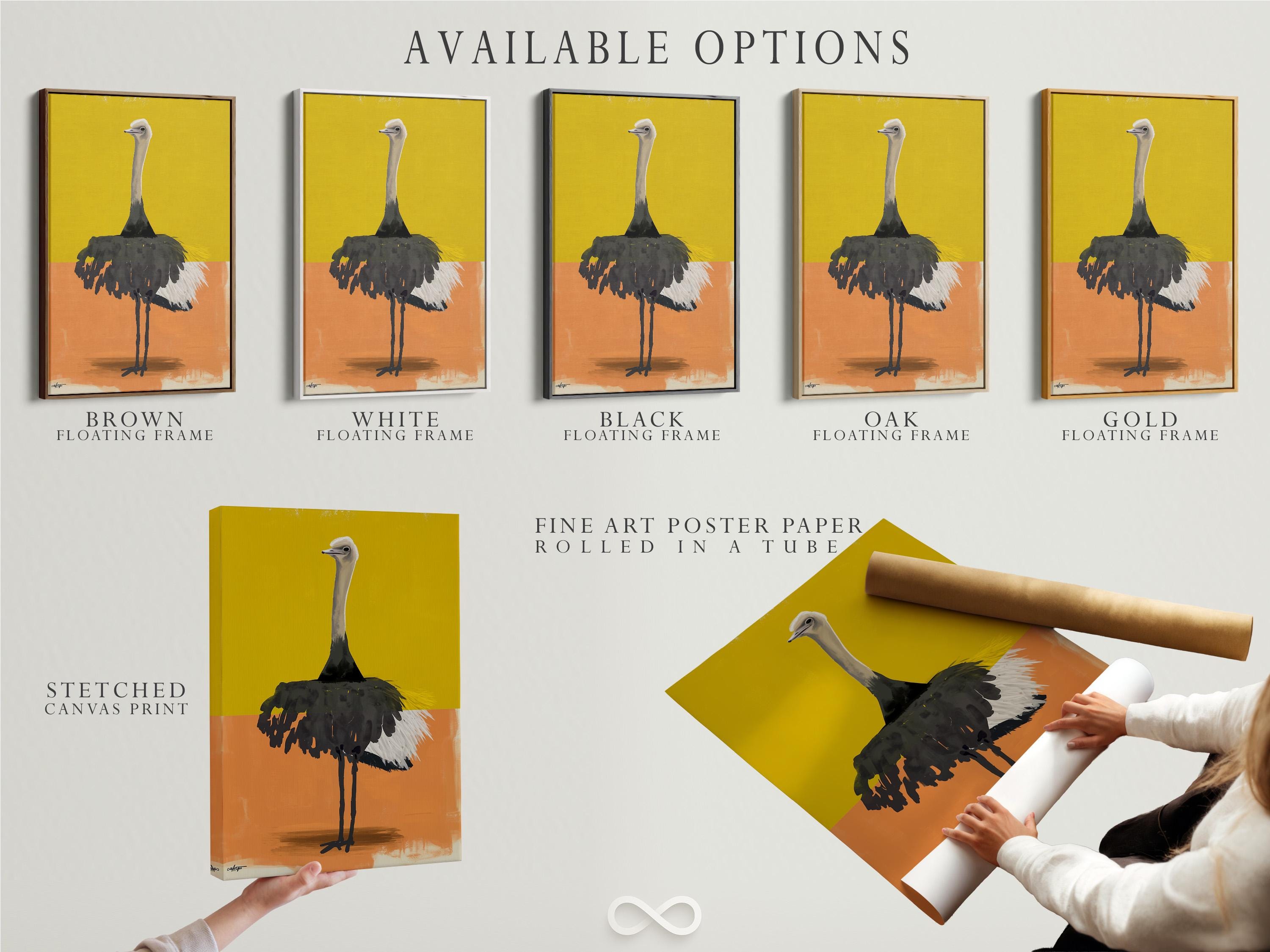 Stylised ostrich portrait in yellow and orange colour blocks with textured dark feathers detail view