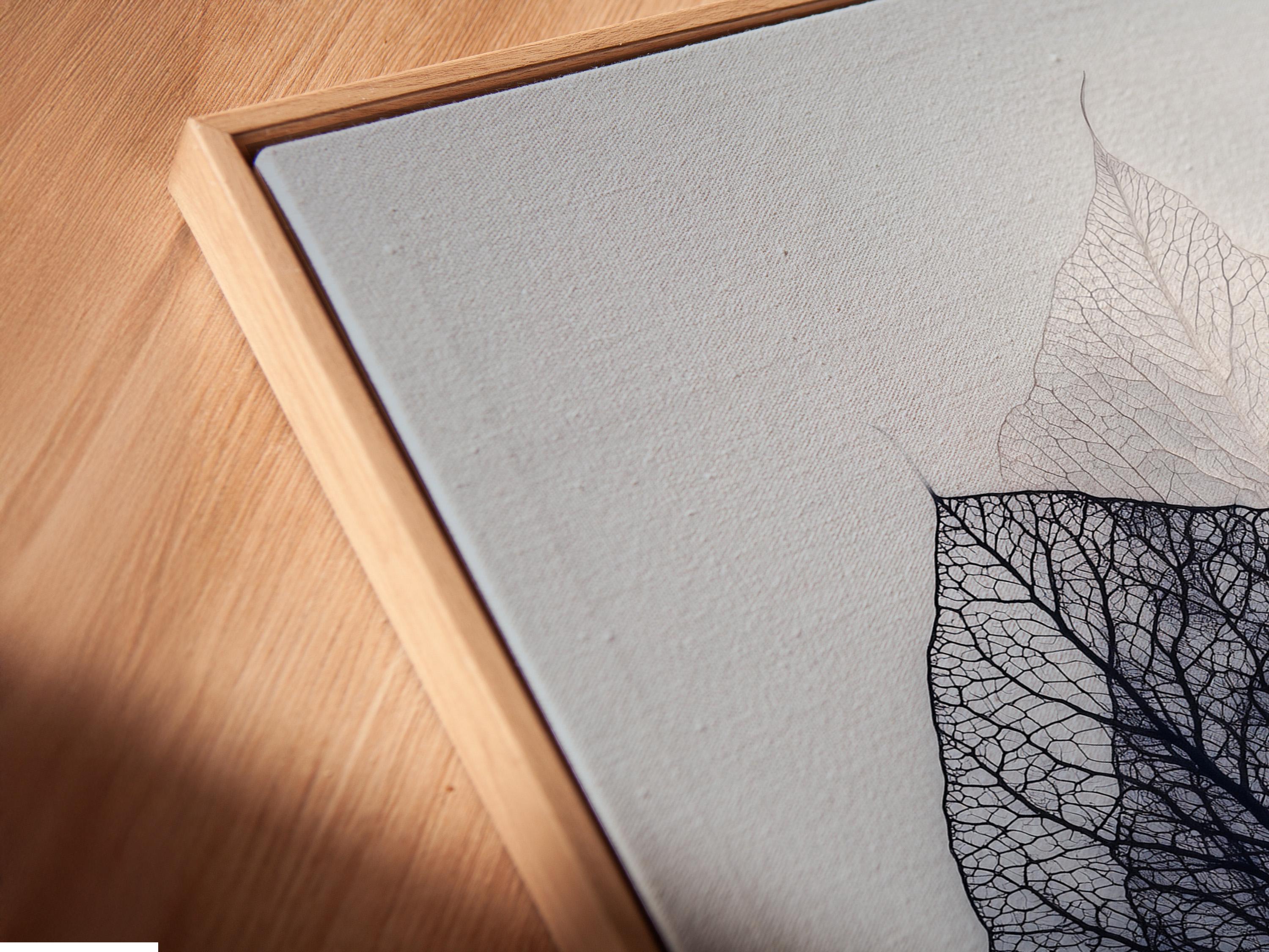 Skeletonised leaf illustration with fine vein linework in charcoal and grey on a pale blue-grey background detail view