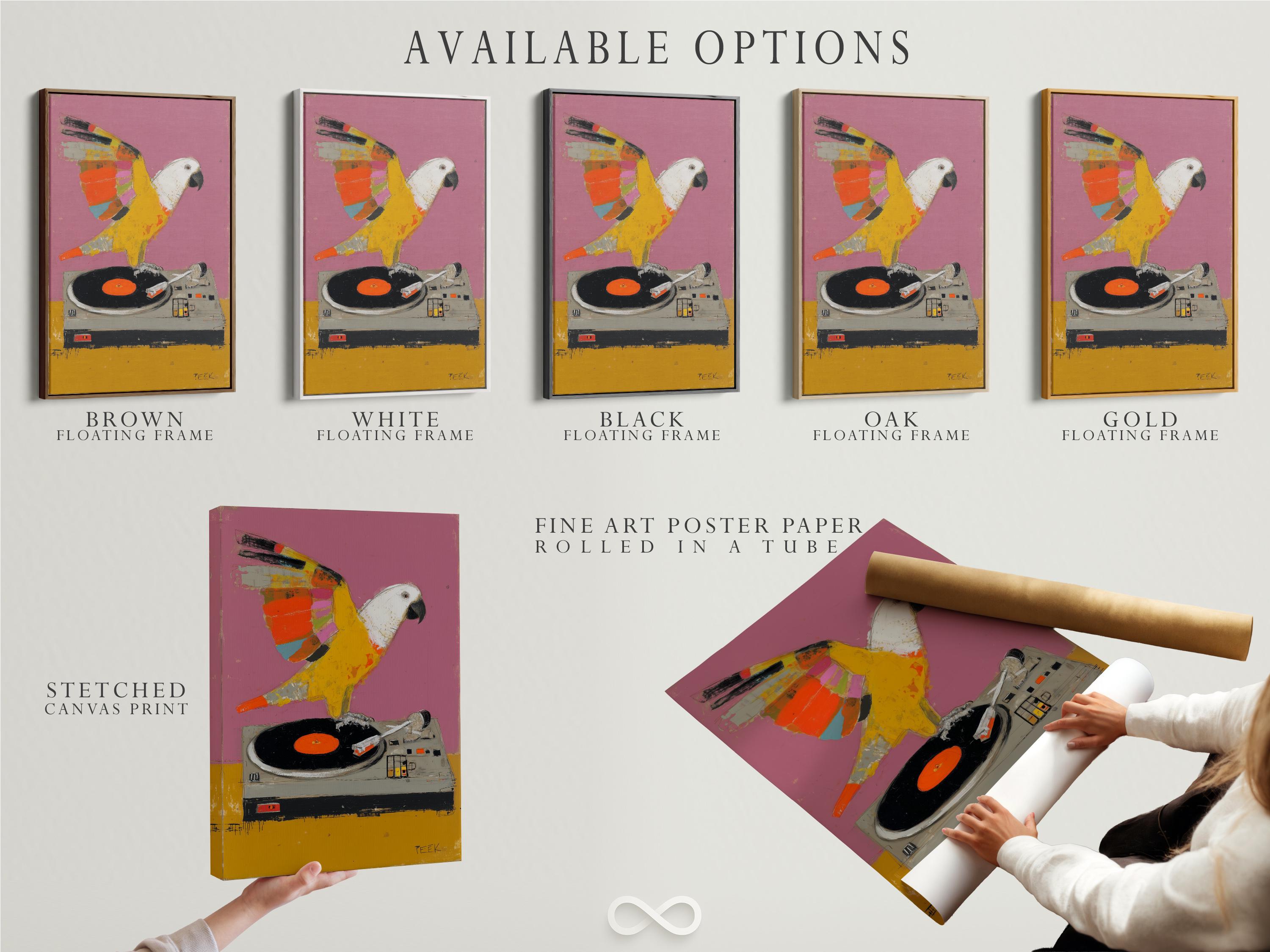 Colourful parrot perched on a turntable above a vinyl record, set against a pink-purple background detail view