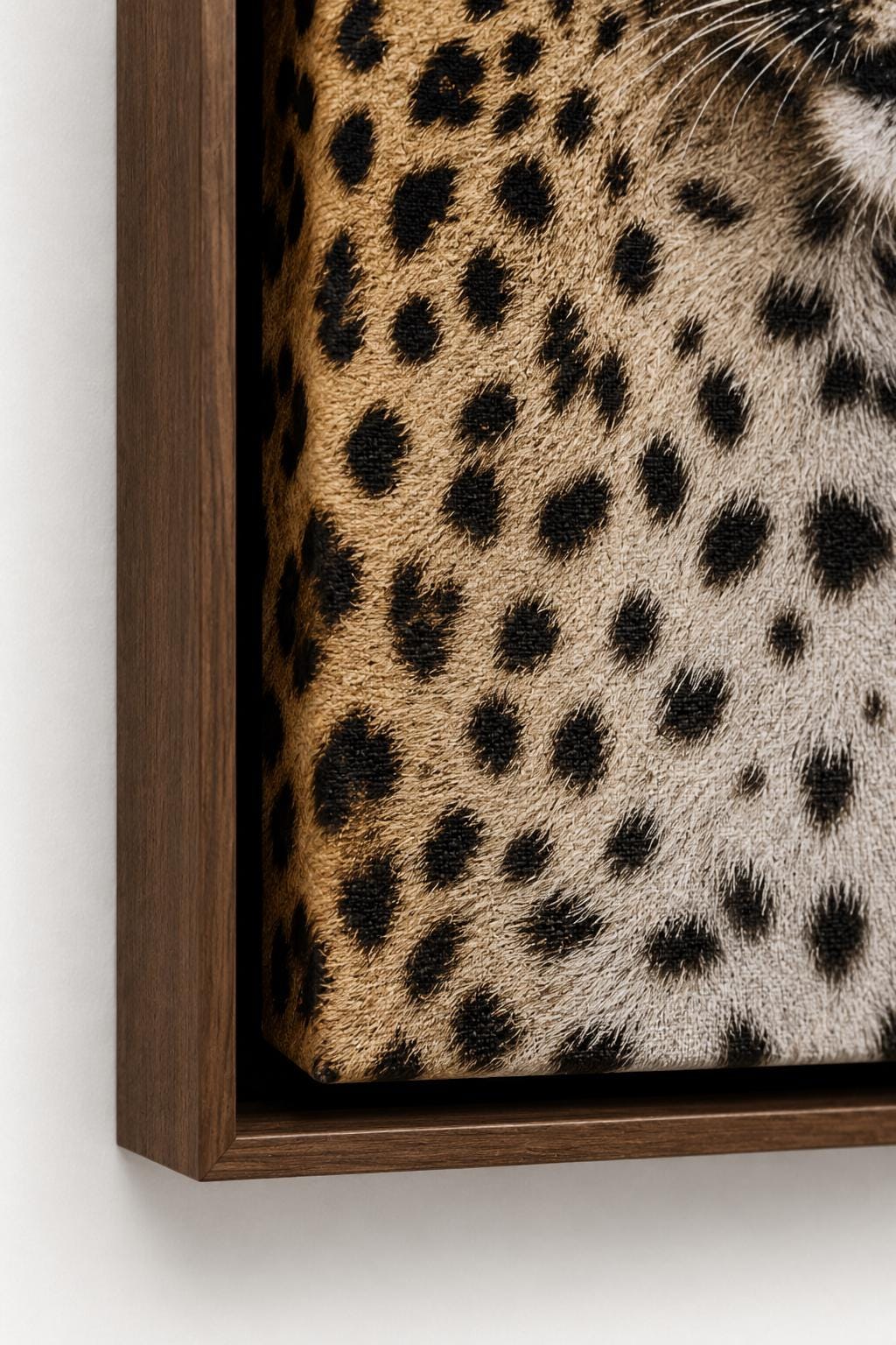 Three-panel leopard fashion wall art featuring a roaring leopard, skateboard deck shapes and bold serif typography detail view