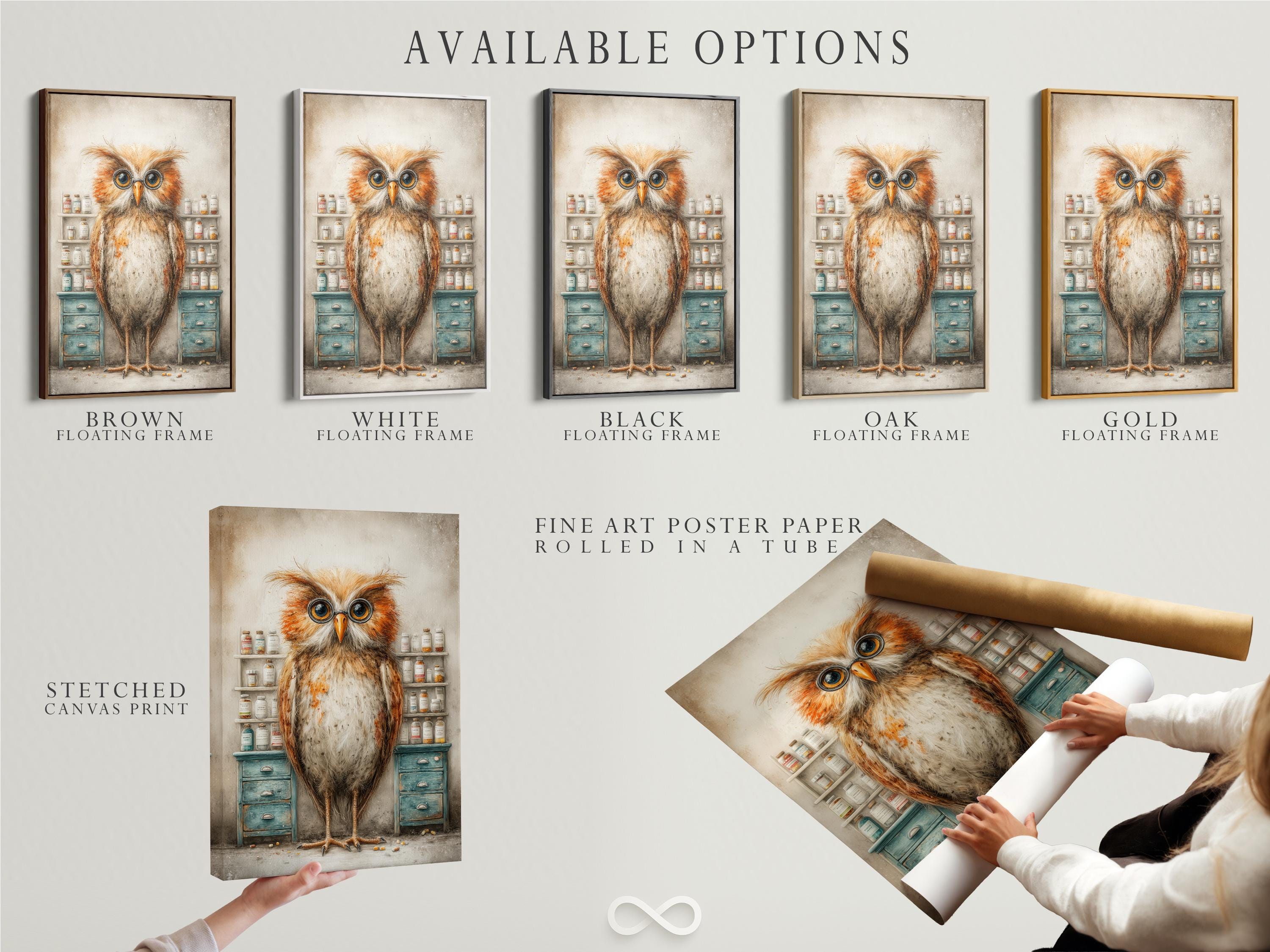 Bespectacled owl with round glasses in a vintage apothecary scene with shelves of jars and teal drawers detail view