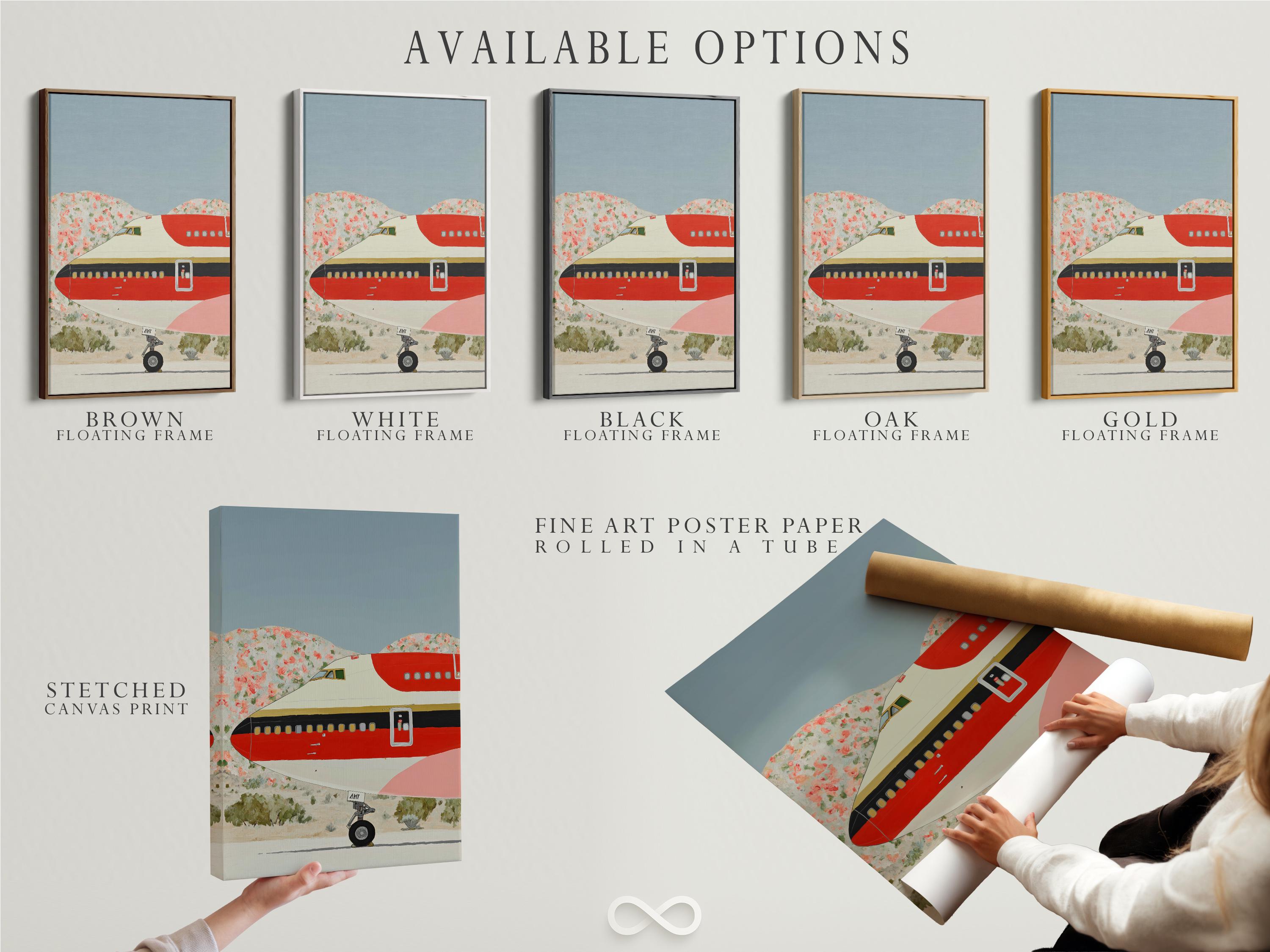 Red retro airplane illustration over a pastel landscape with floral details detail view