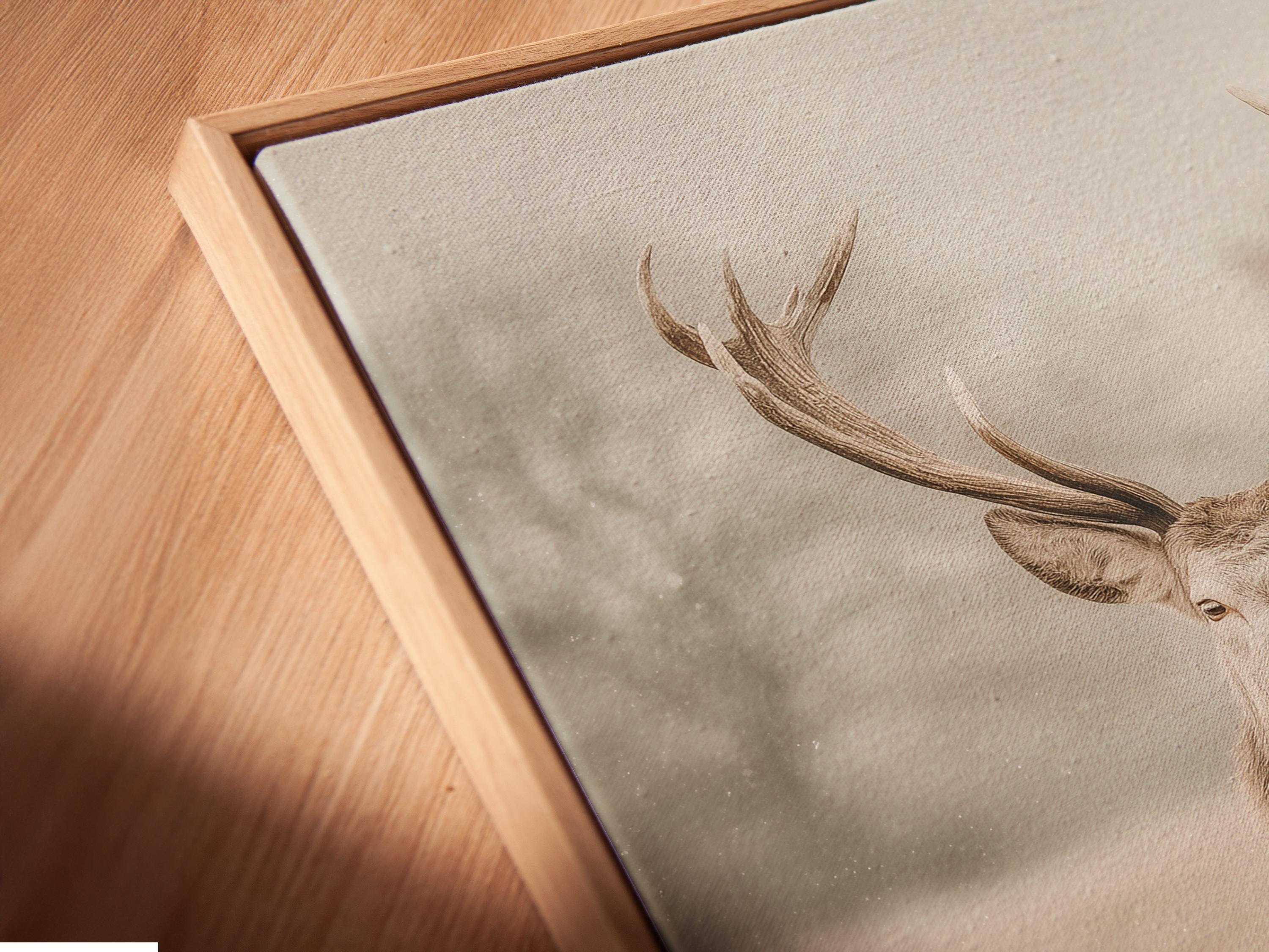 Deer portrait with raised antlers in a misty field, wearing a pale pink bow detail view