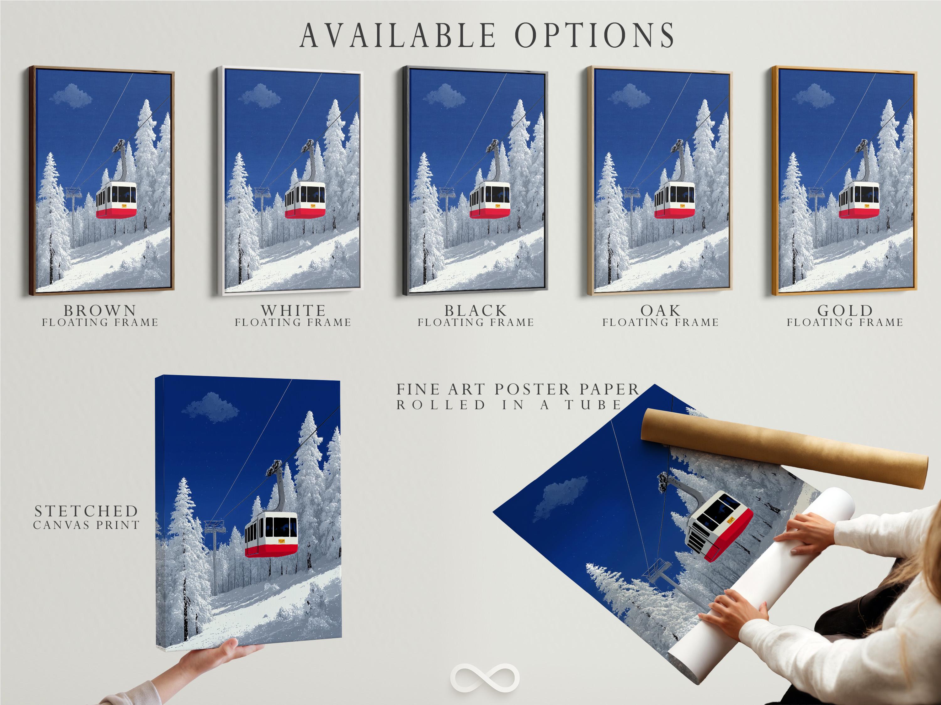 Snowy mountain cable car scene with diagonal cables, deep blue sky, pine trees and a red gondola detail view
