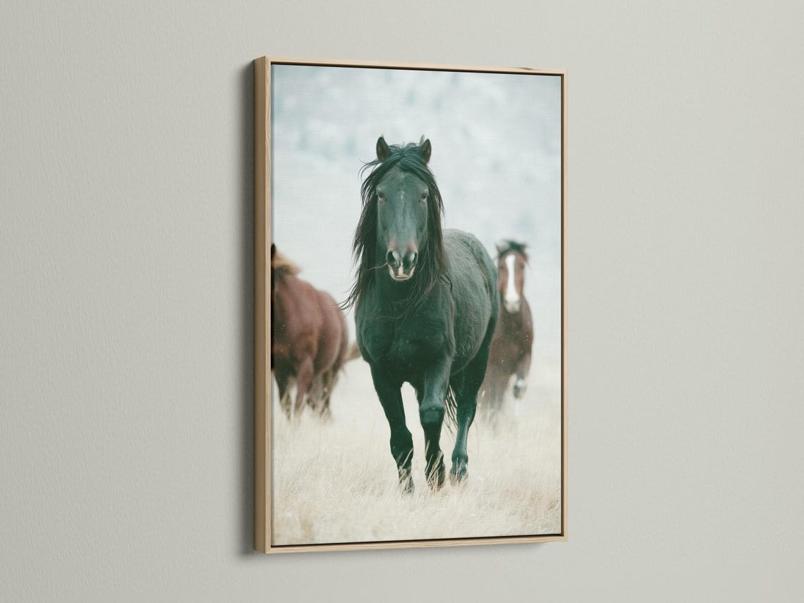 Muted green horse portrait with a pale misty background and a blurred second horse detail view