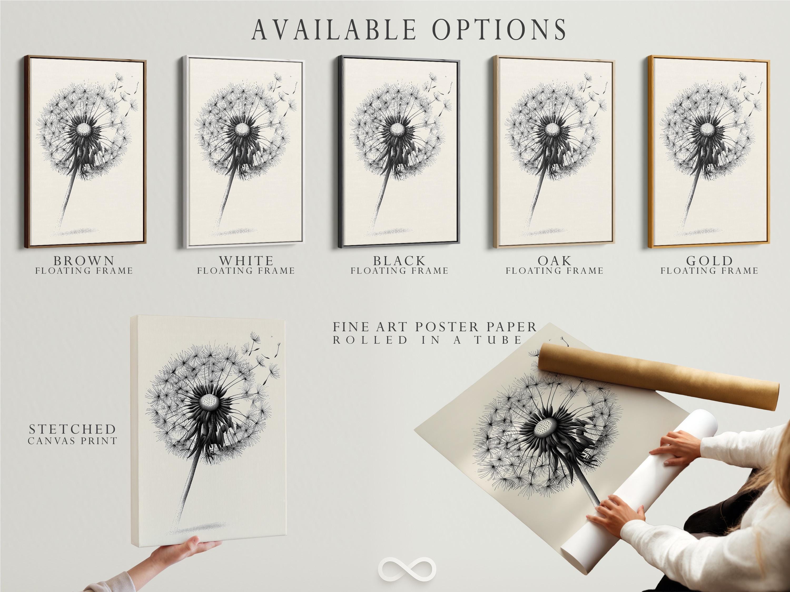 Minimalist black and white dandelion line illustration on a light background detail view
