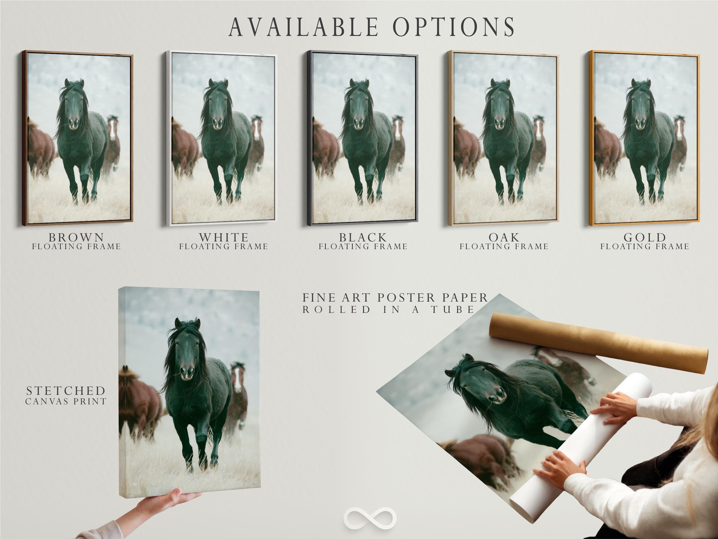 Muted green horse portrait with a pale misty background and a blurred second horse detail view