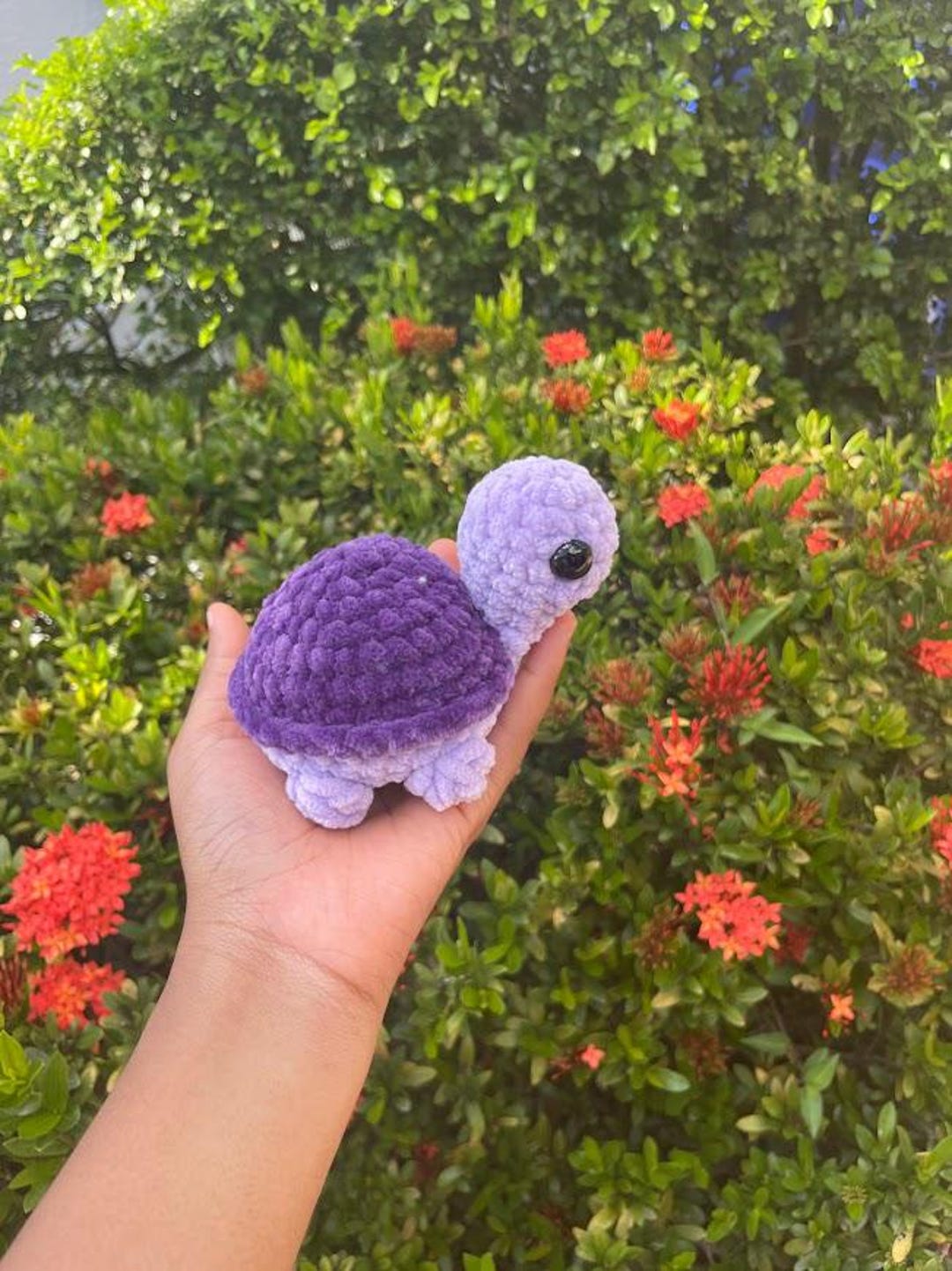 Turtle - Etsy