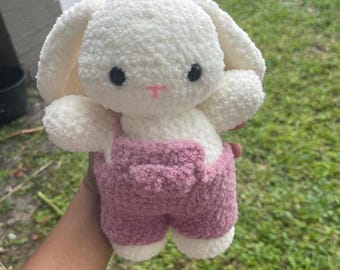 Hase