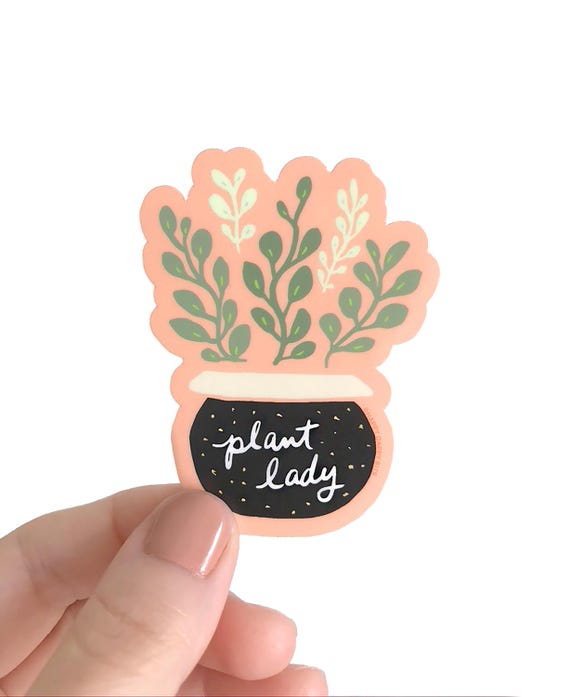 Crazy Plant Lady Sticker, Eco friendly Sticker, Plant Mom Gift, PVC-Free Matte Waterproof Sticker, Illustrated Peperomia, Laptop Stickers