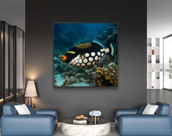 モンガラカワハギの額入りキャンバスアート：カラフルな海の魚の装飾