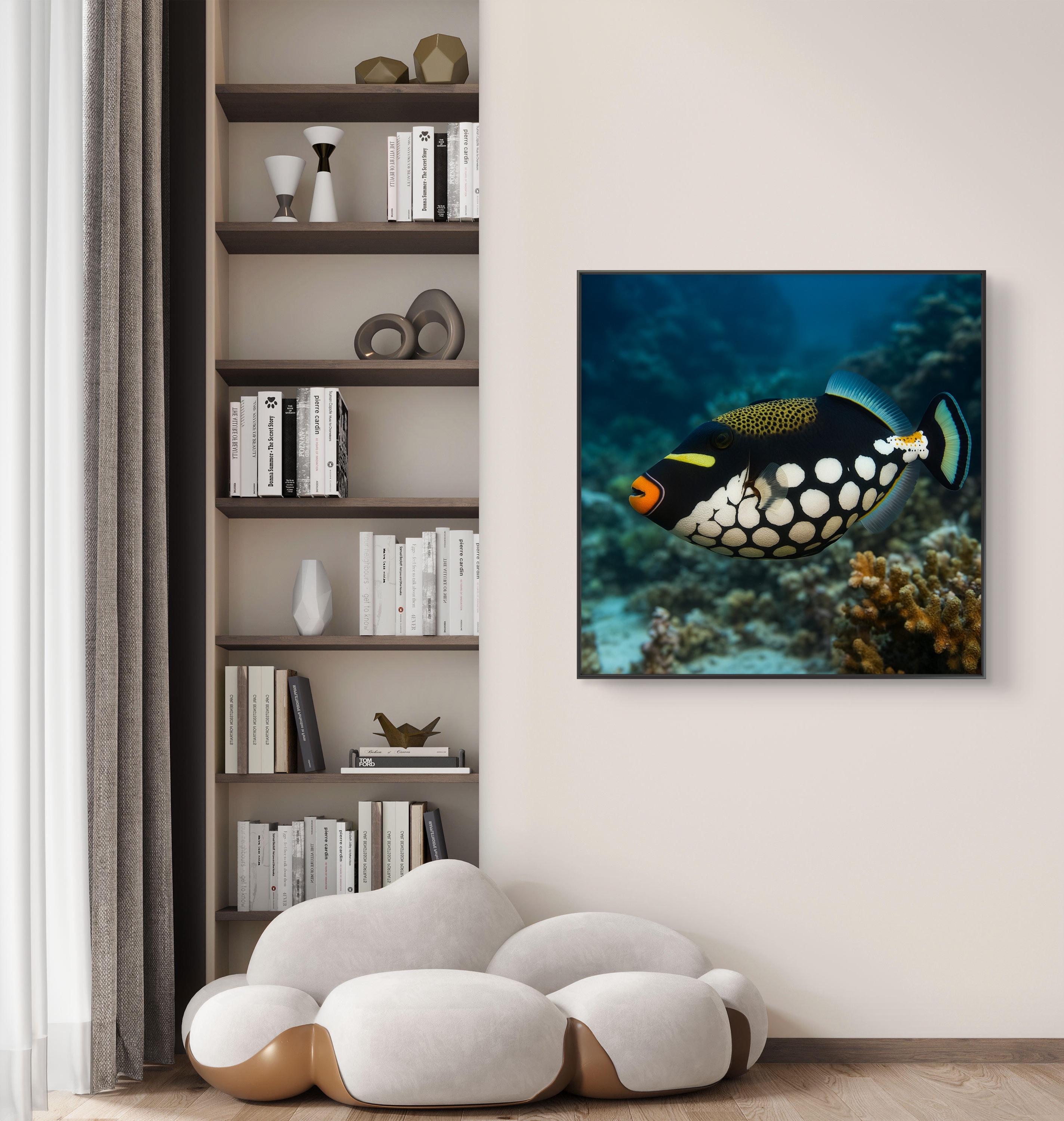 モンガラカワハギの額入りキャンバスアート：カラフルな海の魚の装飾
