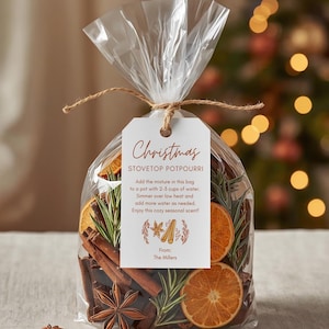 Modern Holiday Stovetop Simmer Potpourri Gift Tag, Editable Canva Template Digital Download