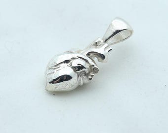Anatomic Heart Memorial Urn Necklace – 925 Sterling Silver Anatomical Ash Pendant with (15 mm)