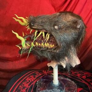 John Carpenter's "The Thing" life size Bust image 10