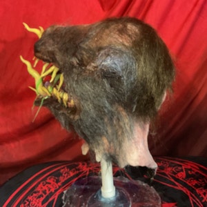 May include: A grotesque, hairy mask with a gaping maw filled with yellow and green tendrils. The mask is mounted on a clear stand against a red backdrop, showcasing a detailed, unsettling design.