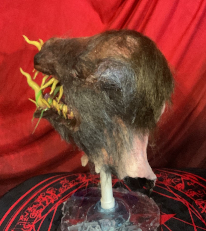 May include: A grotesque, hairy mask with a gaping maw filled with yellow and green tendrils. The mask is mounted on a clear stand against a red backdrop, showcasing a detailed, unsettling design.