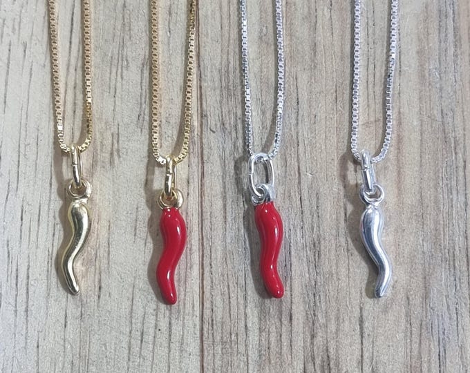 Featured listing image: Lucky horn with silver necklace