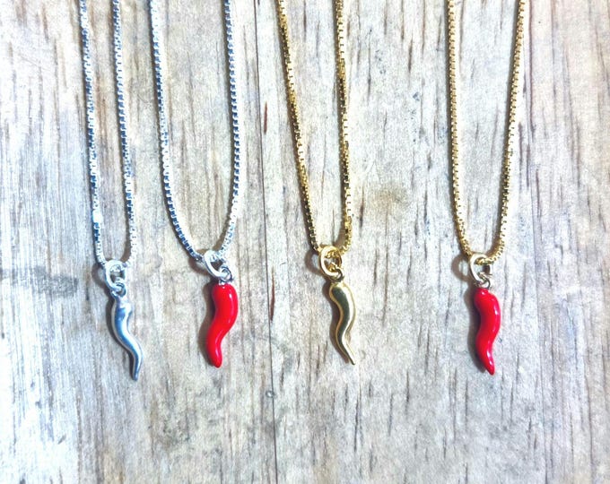 Featured listing image: Lucky horn with silver necklace