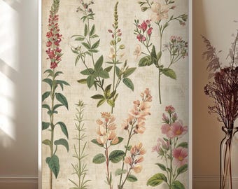 Vintage Botanical Print, Wildflower Illustration, Cottagecore Wall Art (Digital Download)