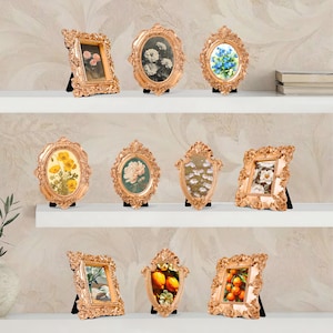 May include: A collection of ornate, gold-colored picture frames with various floral and fruit-themed artwork. The frames are displayed on white shelves, showcasing a variety of shapes and sizes, including oval, rectangular, and shield-shaped designs.