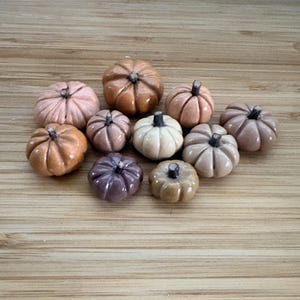 Può includere: Una collezione di undici piccole zucche in ceramica smaltata in varie tonalità terrose, tra cui sfumature di marrone, beige, crema e malva tenue. Ogni zucca presenta una finitura liscia e lucida, distinte creste verticali e un piccolo picciolo marrone scuro.