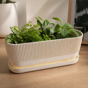 May include: A rectangular, off-white planter with vertical ribbed detailing, filled with various green plants. The planter sits on a matching tray, and is placed on a wooden surface. The plants have different leaf shapes and textures.