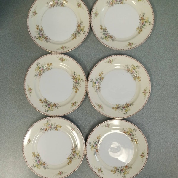 6 Meito China Salad plates dishes Made in Japan Vintage Hand Painted